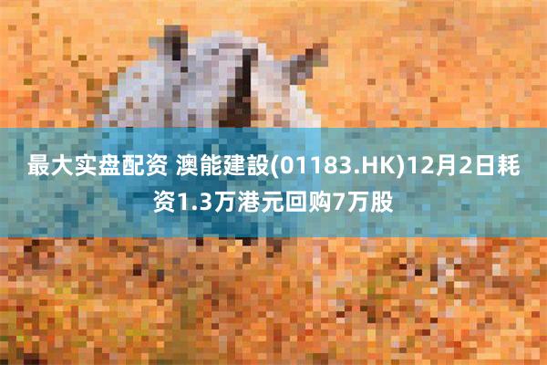 最大实盘配资 澳能建設(01183.HK)12月2日耗资1.3万港元回购7万股