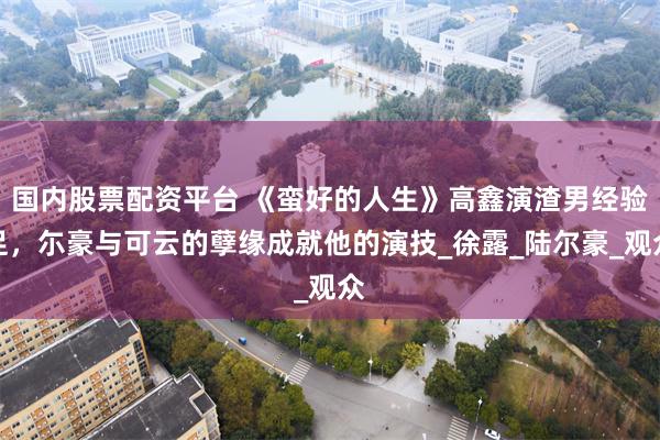 国内股票配资平台 《蛮好的人生》高鑫演渣男经验足，尓豪与可云的孽缘成就他的演技_徐露_陆尔豪_观众