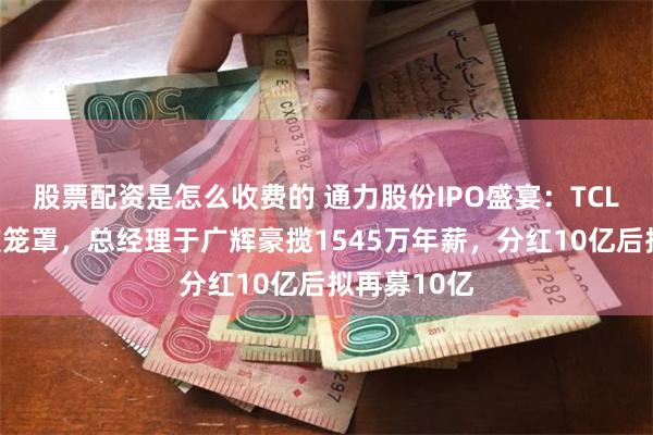 股票配资是怎么收费的 通力股份IPO盛宴：TCL系违规风波笼罩，总经理于广辉豪揽1545万年薪，分红10亿后拟再募10亿