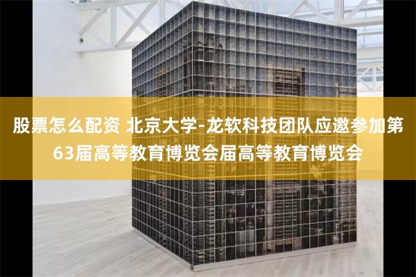 股票怎么配资 北京大学-龙软科技团队应邀参加第63届高等教育博览会届高等教育博览会