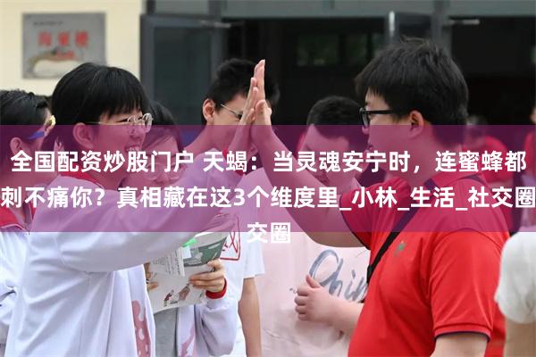 全国配资炒股门户 天蝎：当灵魂安宁时，连蜜蜂都刺不痛你？真相藏在这3个维度里_小林_生活_社交圈