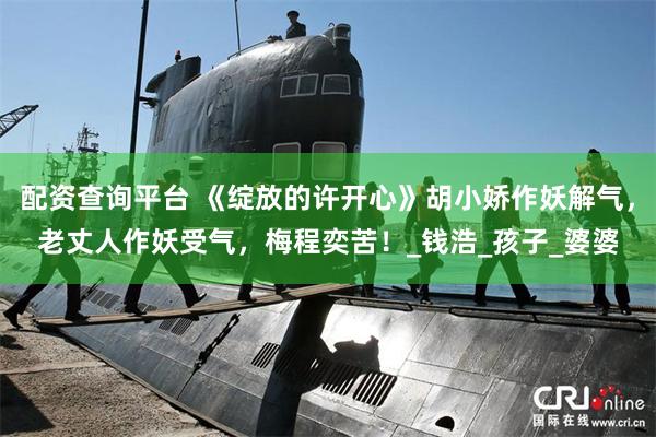 配资查询平台 《绽放的许开心》胡小娇作妖解气，老丈人作妖受气，梅程奕苦！_钱浩_孩子_婆婆
