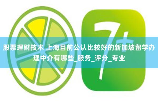 股票理财技术 上海目前公认比较好的新加坡留学办理中介有哪些_服务_评分_专业