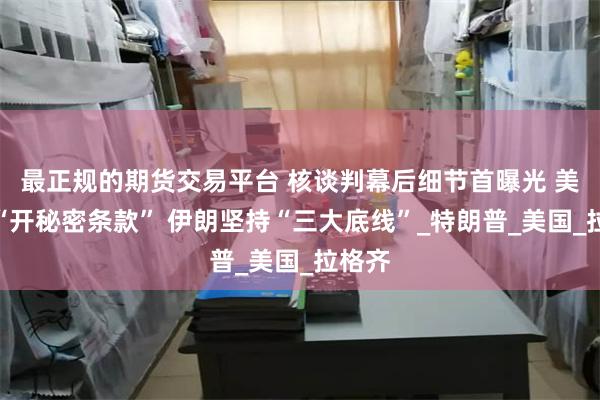 最正规的期货交易平台 核谈判幕后细节首曝光 美政府“开秘密条款” 伊朗坚持“三大底线”_特朗普_美国_拉格齐