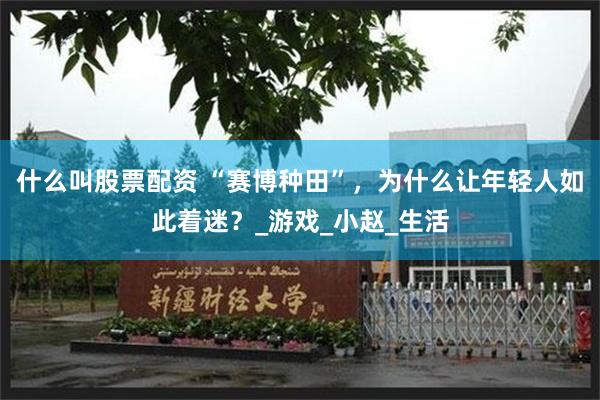 什么叫股票配资 “赛博种田”，为什么让年轻人如此着迷？_游戏_小赵_生活