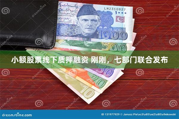 小额股票线下质押融资 刚刚，七部门联合发布