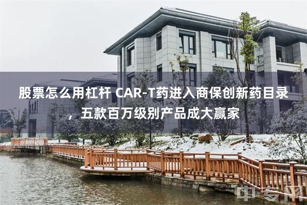 股票怎么用杠杆 CAR-T药进入商保创新药目录，五款百万级别产品成大赢家