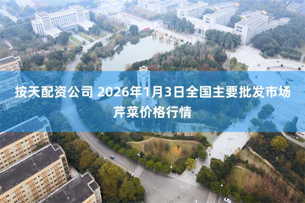 按天配资公司 2026年1月3日全国主要批发市场芹菜价格行情